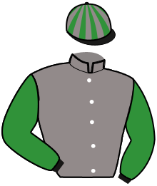 Casaque de KARIMA DU PARC