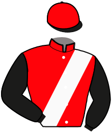 Casaque de LINOS DU GOUTIER
