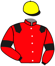 Casaque de NECKER