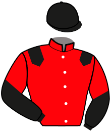 Casaque de MOONSHINER JOLY