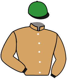 Casaque de GINKGOBILOBA