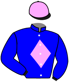 Casaque de RUSAIR FAL