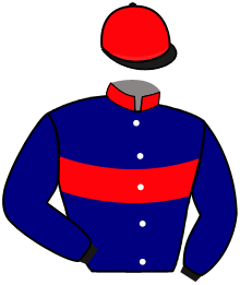 Casaque de RIMATILCLO