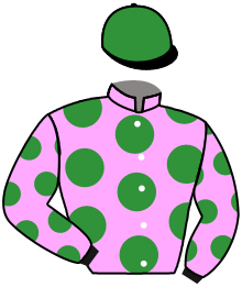 Casaque de MATADOR DES OBEAUX