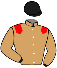 Casaque de IRVING HEROLD