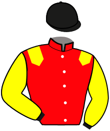 Casaque de KENTUCKY WOOD