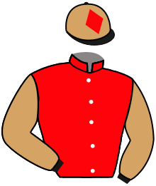 Casaque de JOCKO MAGIC