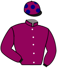 Casaque de SPIRIT TANGO