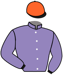 Casaque de PURPLE LION