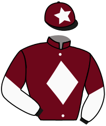 Casaque de FANTASTIC STAR